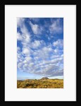 Sky Above Desert Plain by Anonymous