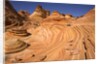 Red Sandstone Buttes and Layers in Desert by Anonymous