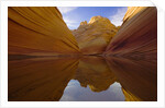 Rainwater Pool Among Sandstone Buttes by Anonymous