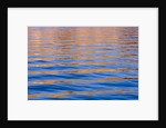 Reflections in Lake Powell at Sunrise by Anonymous