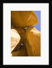 Rocks by Anonymous