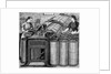 Illustration of the Manufacture of Cotton by Anonymous