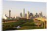 Dallas Skyline by Anonymous
