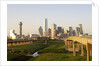 Dallas Skyline by Anonymous