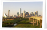 Dallas Skyline by Anonymous