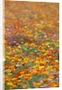 Field of Mission Bells by Anonymous