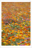 Field of Mission Bells by Anonymous