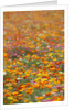 Field of Mission Bells by Anonymous