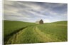 Old Barn in Wheat Field by Anonymous