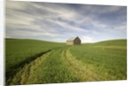 Old Barn in Wheat Field by Anonymous
