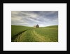 Old Barn in Wheat Field by Anonymous