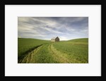 Old Barn in Wheat Field by Anonymous