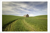 Old Barn in Wheat Field by Anonymous