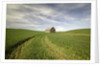 Old Barn in Wheat Field by Anonymous
