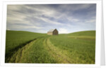 Old Barn in Wheat Field by Anonymous