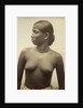 Woman from Ceylon by Anonymous