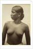 Woman from Ceylon by Anonymous