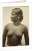 Woman from Ceylon by Anonymous