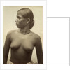 Woman from Ceylon by Anonymous