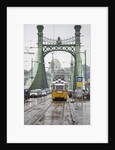 Tram on Elizabeth Bridge by Anonymous