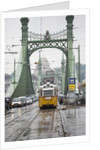 Tram on Elizabeth Bridge by Anonymous