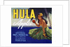 Hula Apples Fruit Crate Label by Anonymous