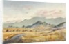 Jacksonville Road by LaVere Hutchings