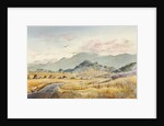 Jacksonville Road by LaVere Hutchings