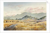 Jacksonville Road by LaVere Hutchings