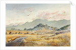 Jacksonville Road by LaVere Hutchings