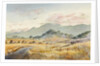 Jacksonville Road by LaVere Hutchings