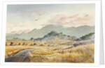 Jacksonville Road by LaVere Hutchings