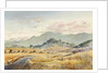 Jacksonville Road by LaVere Hutchings