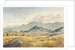 Jacksonville Road by LaVere Hutchings