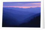 Rolling Hills by Anonymous