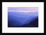 Rolling Hills by Anonymous