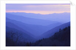 Rolling Hills by Anonymous