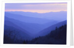 Rolling Hills by Anonymous