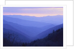 Rolling Hills by Anonymous