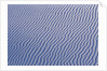 Rippling White Sand by Anonymous