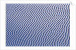 Rippling White Sand by Anonymous