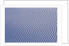 Rippling White Sand by Anonymous