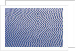 Rippling White Sand by Anonymous