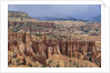 Hoodoo Formations by Anonymous