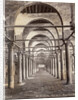 Ruins of Mosque in Cairo, Egypt by Anonymous