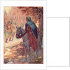 Illustration of Maid Marian Watching a Sword Fight by Harry G. Theaker