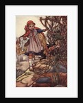 Little Red Riding Hood Illustration by Charles Robinson