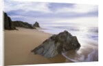 Beach at Mimosa Rocks National Park in Australia by Anonymous
