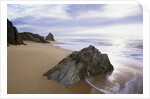 Beach at Mimosa Rocks National Park in Australia by Anonymous