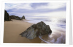 Beach at Mimosa Rocks National Park in Australia by Anonymous